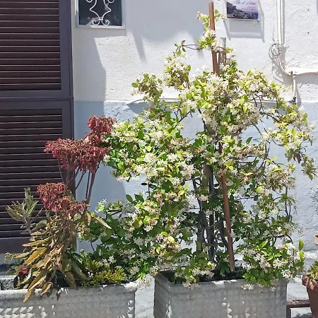 Appartement Appartamento Napoli